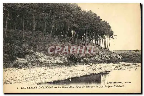 Cartes postales Les Sables D Olonne La Lisiere de la Foret de Pins Sur La Cote St Jean L Orbestier