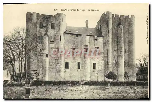Cartes postales Niort Le Donjon
