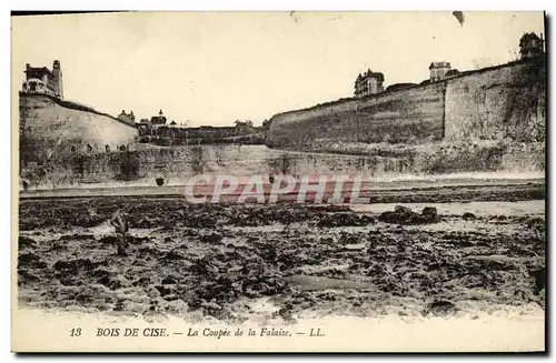 Ansichtskarte AK Bois De Cise La Coupee de La Falaise