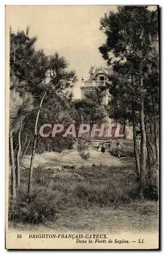 Ansichtskarte AK Brighton Francais Cayeux Dans La Foret de Sapins