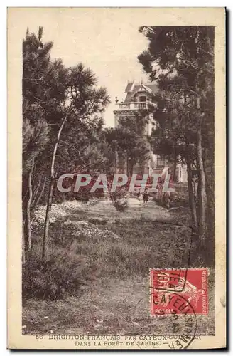 Cartes postales Cayeux Sur Mer Brighton Francais Dans La Foret