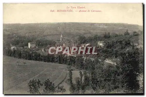 Cartes postales Monesties Avenne de Carmaux