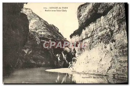 Ansichtskarte AK Gorges Du Tarn Roches sous Saint Chely