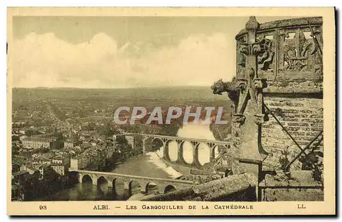 Cartes postales Albi Les Gargouilles De La Cathedrale