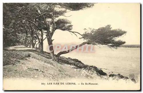 Cartes postales Les Iles De Lerins Ile St Honorat