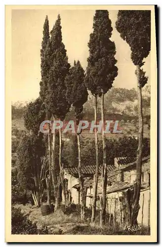 Cartes postales Paysage provencal