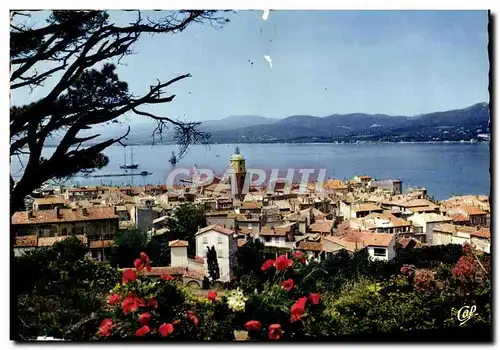 Cartes postales moderne Saint Tropez Vue Generale