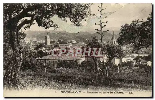 Cartes postales Draguignan Panorama un entre les Oliviers