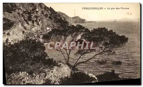 Cartes postales Ile Porquerolles Le Pin des Pirates