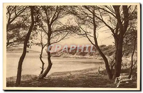 Ansichtskarte AK Hyeres Ile de Port Cros Commune La Plage d Argent ou du Sud