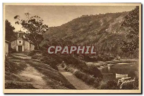 Cartes postales Hyeres Ile de Port Cros Commune L Eglise L Eventail d eucalyptus du Manoir