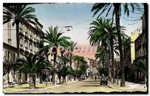 Cartes postales Hyeres Les Palmiers Avenue Gambetta