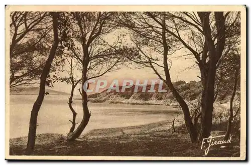 Cartes postales Hyeres Ile de Port Cros Commune La Plage