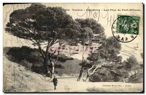 Ansichtskarte AK Toulon Cap Brun Les Pins De Port Mejeart