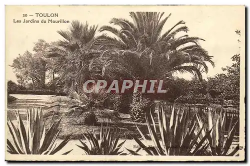 Cartes postales Toulon Jardins Du Mourillon