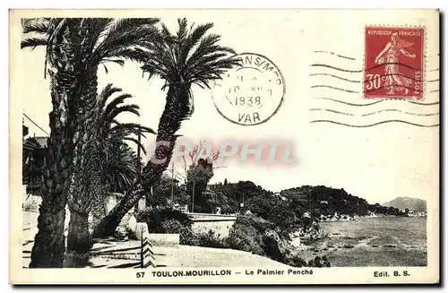 Cartes postales Toulon Mourillon Le Palmier Penche