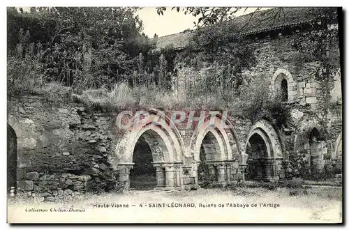 Cartes postales Saint Leonard Ruines de L Abbaye de L Artige