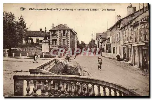 Cartes postales Chateaueuf la Foret Avenue de Linards Les Jardins