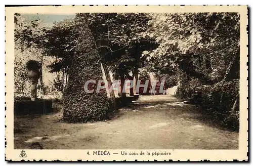 Cartes postales Medea Un coin de la Pepiniere