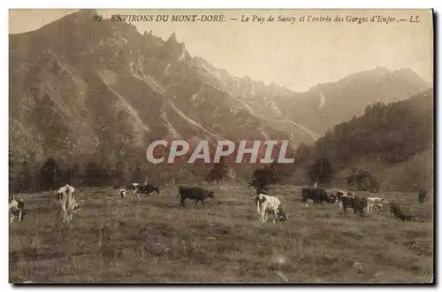 Cartes postales Environs Du Mont Dore Le Puy de Sancy et I entree des gorges d enfer Vaches