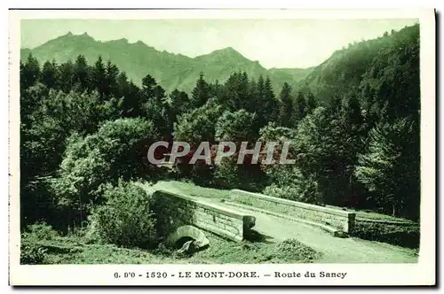 Ansichtskarte AK Le Mont Dore Route du Sancy