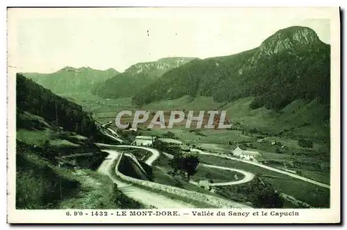 Ansichtskarte AK Le Mont Dore Vallee du Sancy et le Capucin
