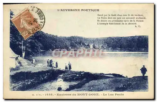 Cartes postales Environs Du Mont Dore Le Lac Pavin