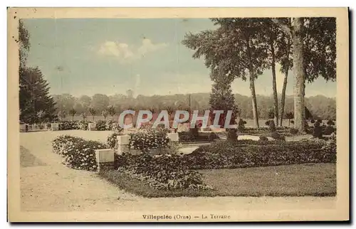 Cartes postales Villepelee La TerrasseLion