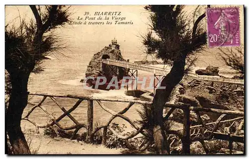 Cartes postales Biarritz Le Pont de La Vierge Etude a Travers Les Tamaris