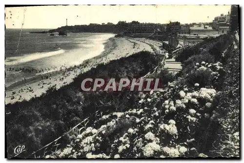 Ansichtskarte AK Biarritz Les Hortensias Et La Grande Plage