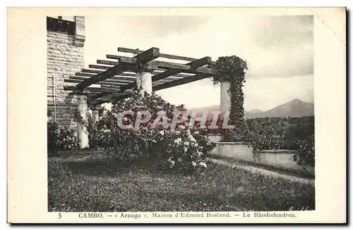 Cartes postales Cambo Arnaga Maison D Edmond Rostand Le rhododendron