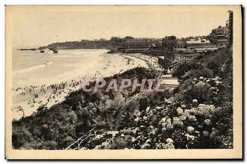 Ansichtskarte AK Biarritz Les Hortensias Et La Grande Plage