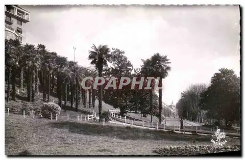 Cartes postales moderne Pau La Palmeraie et L Avenue de la Gare