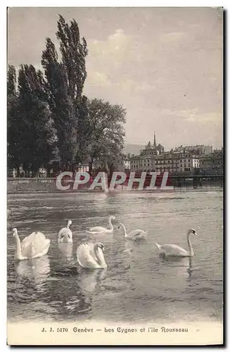 Cartes postales Geneve Les Cygnes Et L lle Rousseau