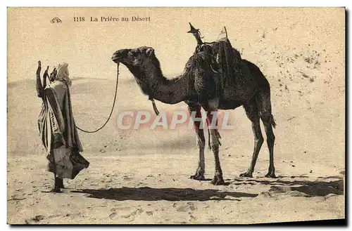 Cartes postales La Priere au Desert Chameau