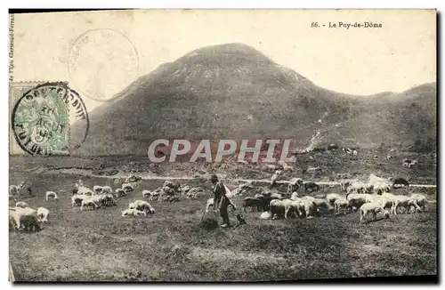 Ansichtskarte AK L Auvergne Le Puy de Dome Berger et moutons