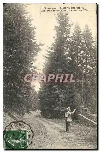 Cartes postales Auvergne St Germain L Herm Une Promenade dans la Foret de l Etat