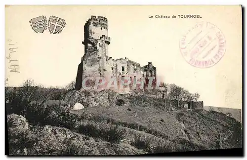 Cartes postales Le Chateau De Tournoel