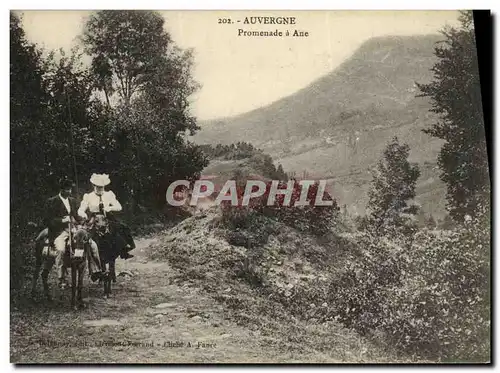 Ansichtskarte AK Auvergne Promenade a Ane Mules