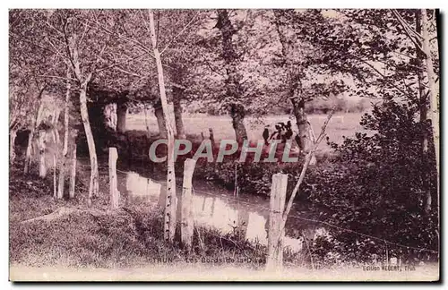 Cartes postales Trun Les Bords De La Diva Vache