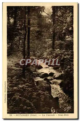 Cartes postales Putanges La Cascade Sous Bois