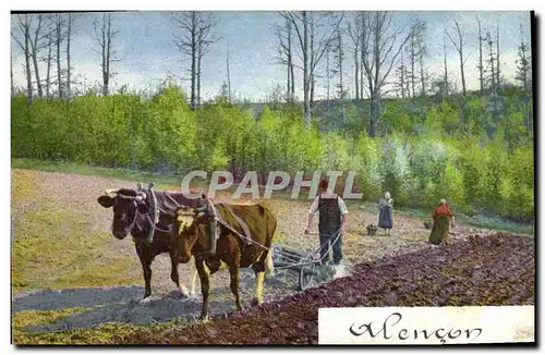 Cartes postales Alencon Laboureur Charrue