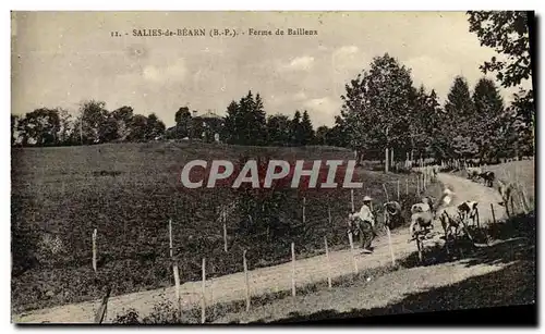 Cartes postales Salies De Bearn Ferme De Bailleux Berger et ses vaches