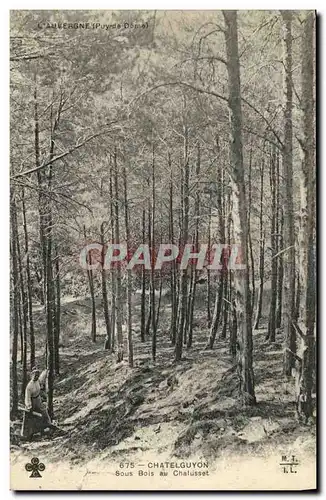 Cartes postales ChatelGuyon Sous Bois Au Chalusset