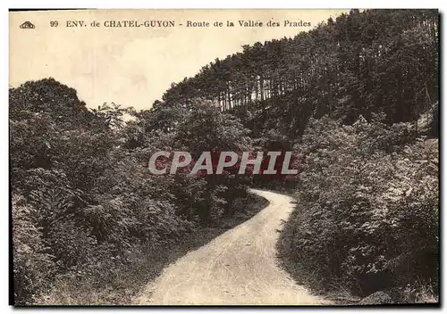 Cartes postales Env De Chatel Guyon Route de La Vallee Des Prades