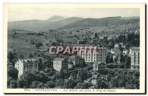 Ansichtskarte AK Chatel Guyon Les Hotels au fond le Puy de Dome