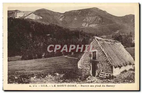 Ansichtskarte AK Le Mont Dore Buron au Pied du Sancy