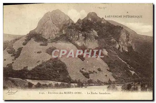 Cartes postales Environs des Mont Dore La Roche Sanadoire