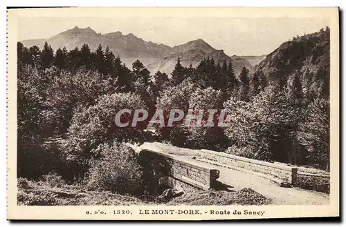 Ansichtskarte AK Le Mont Dore Route du Sancy