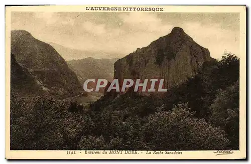 Ansichtskarte AK Environs du Mont Dore La Roche Sanadoire